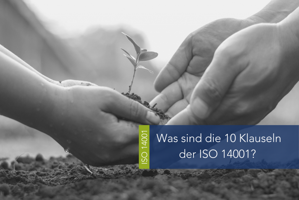 ISO 14001 Environmental Management