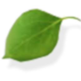 leaf-4