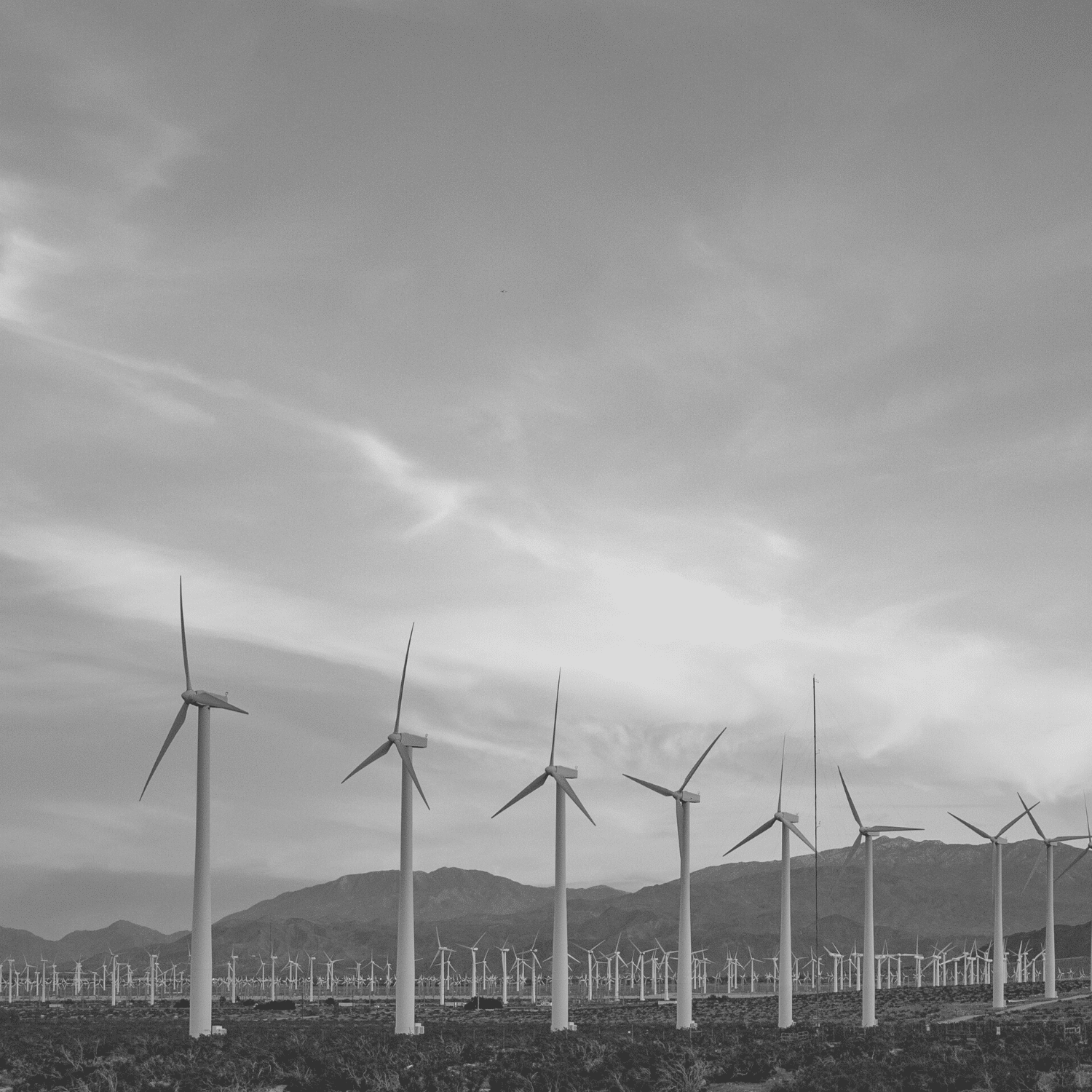 Why is ISO 50001 important for your business and the environment? icon
