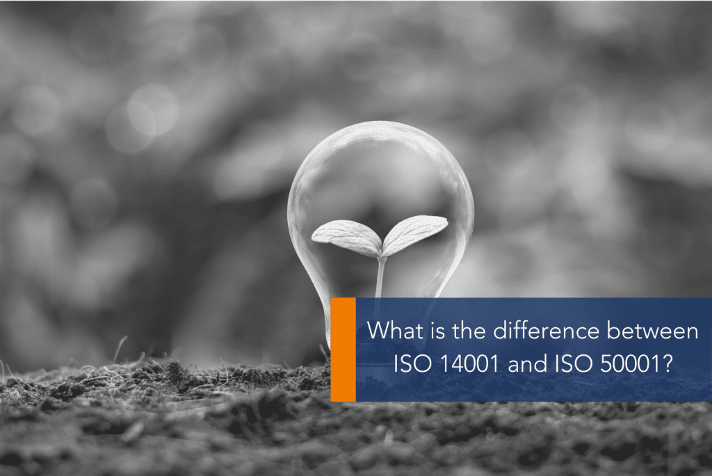 ISO 14001 vs ISO 50001 MAIN A close up of a plant growing inside a lightbulb