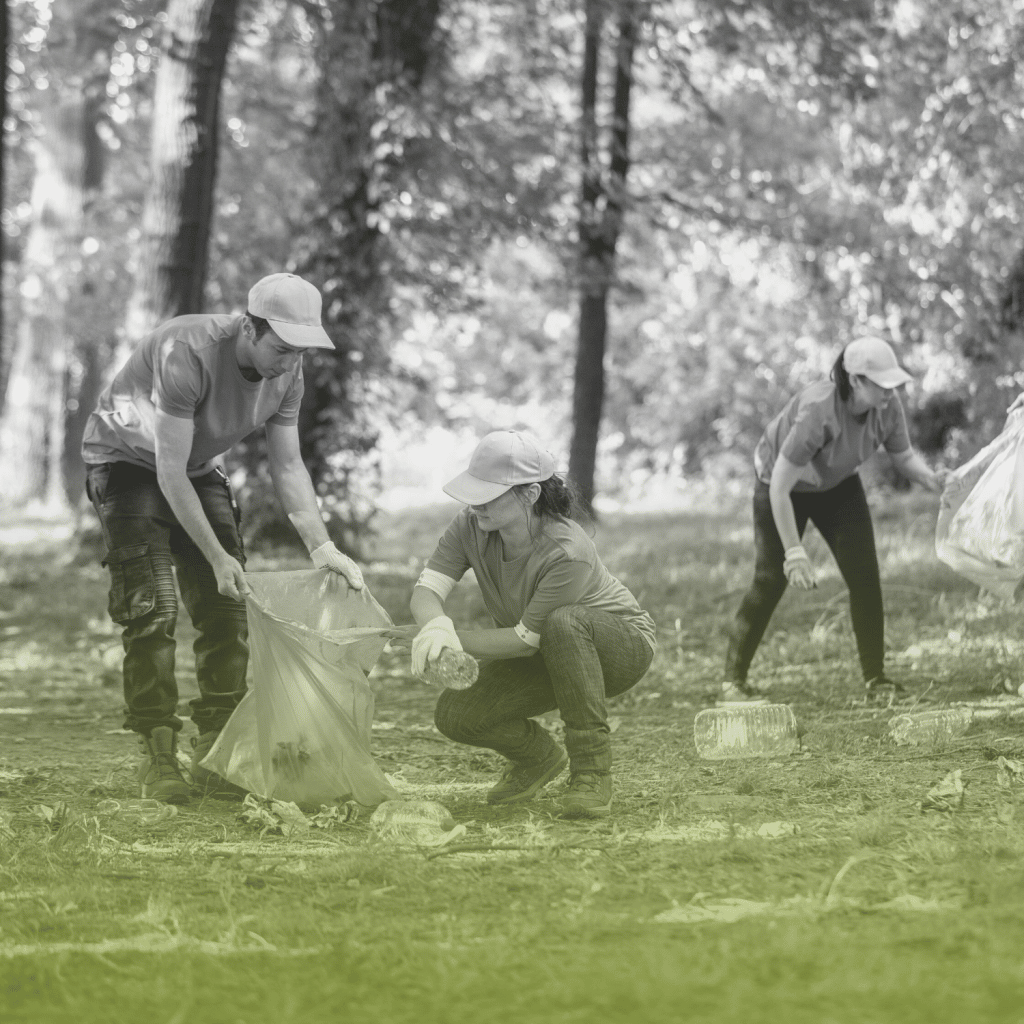 ISO 14001 Thumbnail 2 A group of people liter picking surrounded by trees