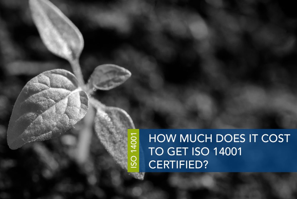 ISO_14001_BODYUK ISO_14001_BODYUK.