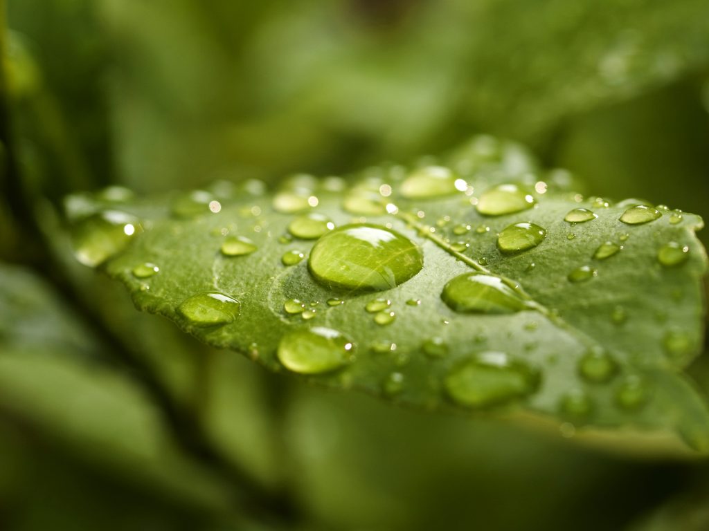 ISO 14001 ISO 14001