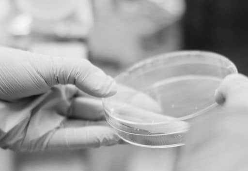 ISO 17025 for Laboratory Competence has been fully revised ISO 17025 for Laboratory Competence has been fully revised
